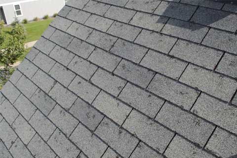 Insurance-Claim-Roof-HAIL-DAMAGE-Arab-AL-Madison-AL-Hunstville-AL-Decatur-AL-Baldwin-County-AL